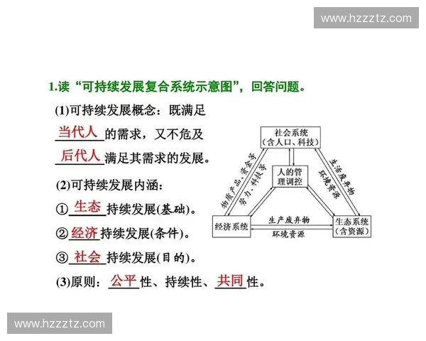 高位组织引领下推进全面协调发展的战略实施方案